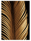 American Dakota Coastal Rugs Tropical Leaf Study - Black