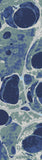 American Dakota Coastal Rugs Deep Sea - Sea Foam