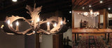 8 Light Elongated Fallow Antler Chandelier (AWC-1)