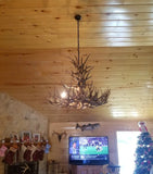 8 Light XL Whitetail Antler Chandelier (AWC-12)