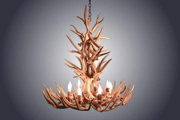 8 Light XL Whitetail Antler Chandelier (AWC-12)