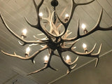 8 Light Elk Antler Chandelier (AWC-22)