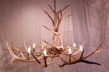8 Light Elk Antler Chandelier (AWC-22)