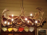 10 Light Elk/Fallow Oval Antler Chandelier (AWC-28)