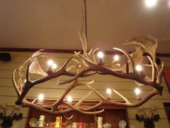 10 Light Elk/Fallow Oval Antler Chandelier (AWC-28)