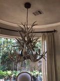 8 Light Magnolia Mule Deer Antler Chandelier (AWC-30)