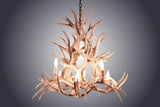 8 Light Magnolia Mule Deer Antler Chandelier (AWC-30)