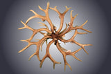 8 Light Mule Deer Antler Chandelier (AWC-4)