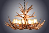 8 Light Mule Deer Antler Chandelier (AWC-4)
