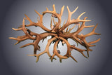8 Light Oval Mule Deer Antler Chandelier (AWC-5)