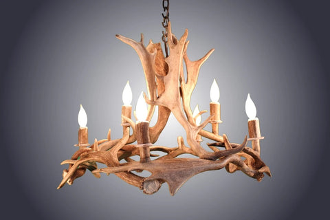 6 Light Fallow Ring Antler Chandelier (AWC-89)