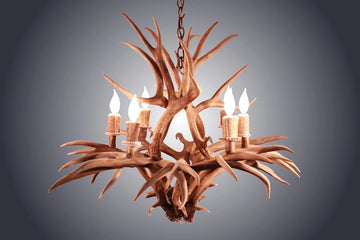 6 Light Inverted Mule Deer Antler Chandelier (AWC-90)