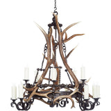 15 Light Lori With Antler