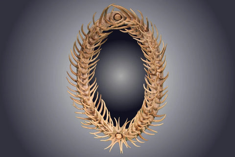 Oval Antler Forked Mirror (M-1)