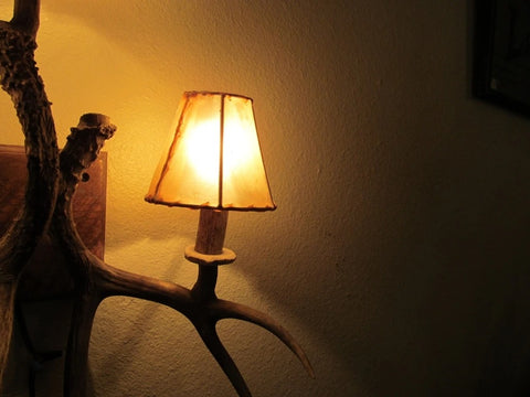 Mini Shade (MINI)