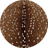 American Dakota OKA Spotted Hide OKA - Sienna