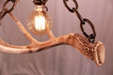 Antler & Chain Pendant