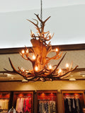 24 Light Paul Bunyan Antler Chandelier (SKU-117)