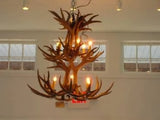 12 Light Double Tiered Mule Deer Antler Chandelier (SKU-70)