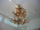 12 Light Double Tiered Mule Deer Antler Chandelier (SKU-70)