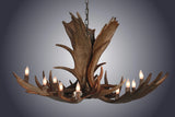 10 Light Medium Moose Antler Chandelier (SKU-97M)